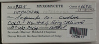 Image Associated With the Occurence